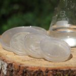Interactive living systems