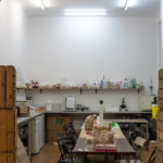 CANCELLED! Mind the Fungi | Mushroom Cultivation Course
