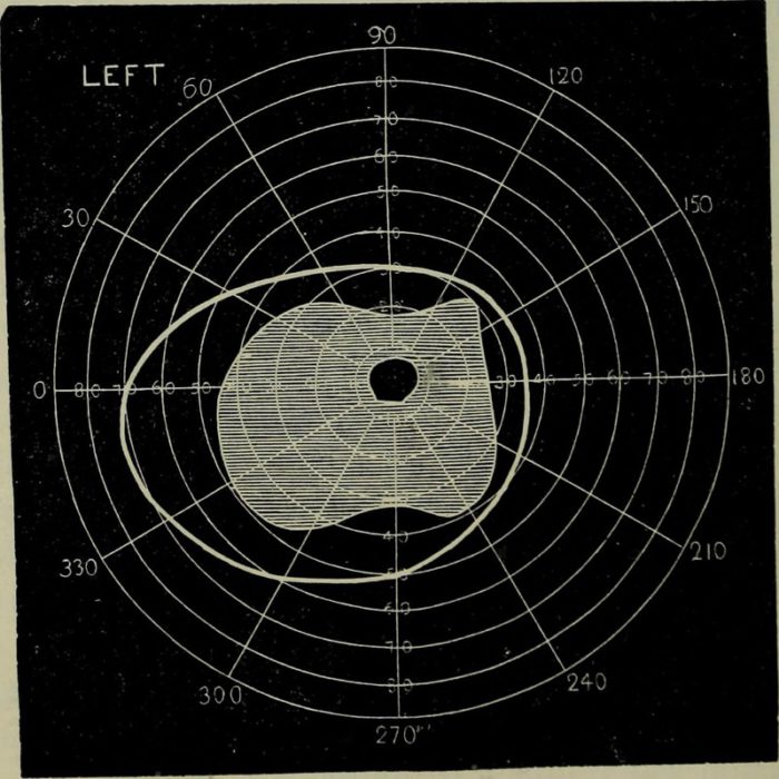 The Aesthetic Non-conscious. Photo credit: Internet Archive Book Images